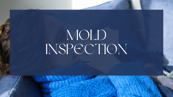 Mold Remediation and Inspection in Summerville SC - Flower Site