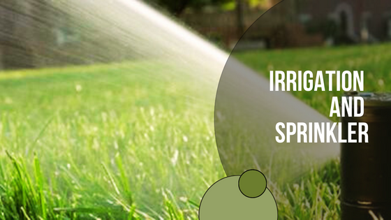 Finding a Reliable and Experienced Irrigation and Sprinkler Company in Vancouver - Flower Site