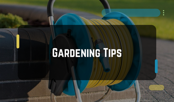 Finding Rhythm in the Garden: Small Habits That Make a Big Difference - Flower Site